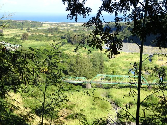 On aperçoit régulièrement le pont dans les trouées de la végétation