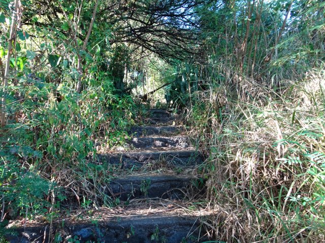 Ces quelques marches finissent la montée du sentier la Corde