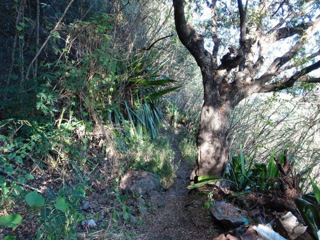 Une portion plate de ce petit sentier