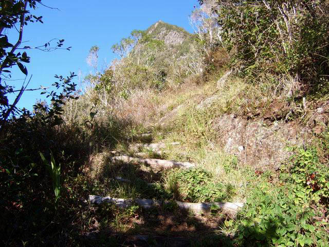 Une portion du sentier en marches de rondins