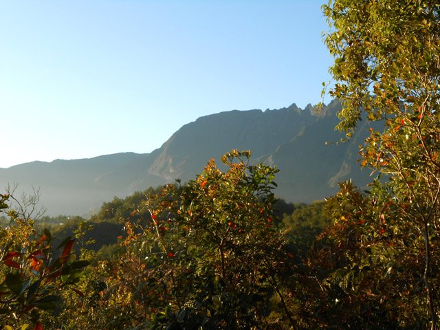 Le Gros Morne depuis une trouée dans la végétation