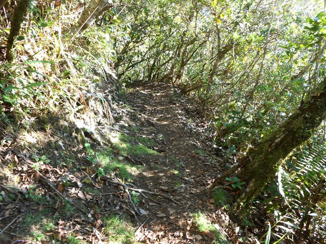 Sentier étroit mais sans danger
