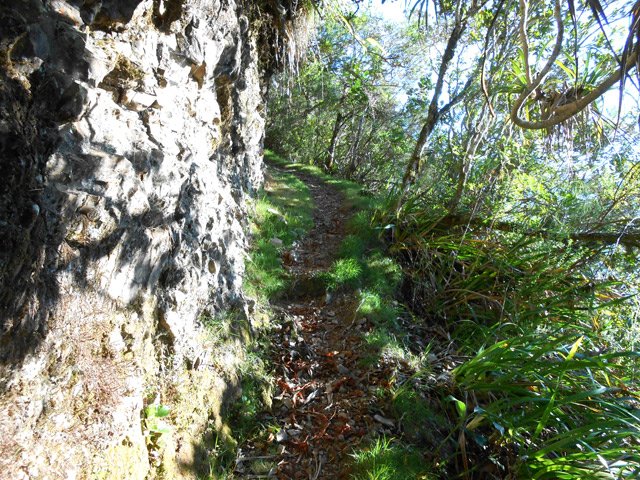 Plus haut, le sentier longe des parties plus rocheuses