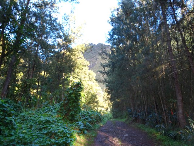 La piste humide débute en douceur sous les filaos