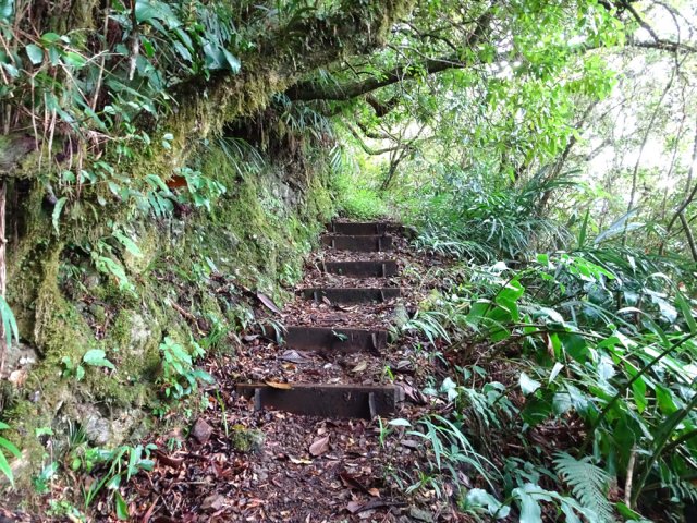 Les marches en bois sont assez rares mais bien agréables