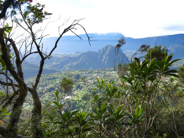 On distingue souvent le cirque dans les trouées végétales