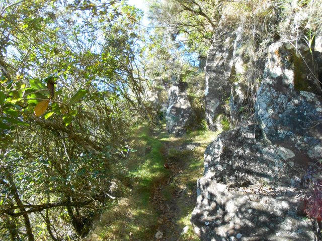 Les dix derniers mètres avant d'arriver au point de vue