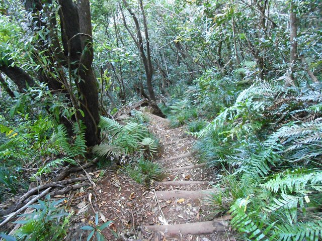Quel plaisir de ne pas voir de plantes envahissantes !