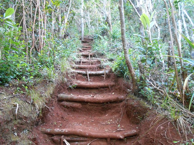 Dans la descente abrupte, la terre est très rouge