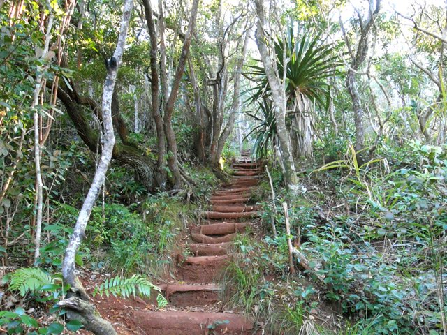 On rencontre de beaux bois de rempart en bordure de sentier