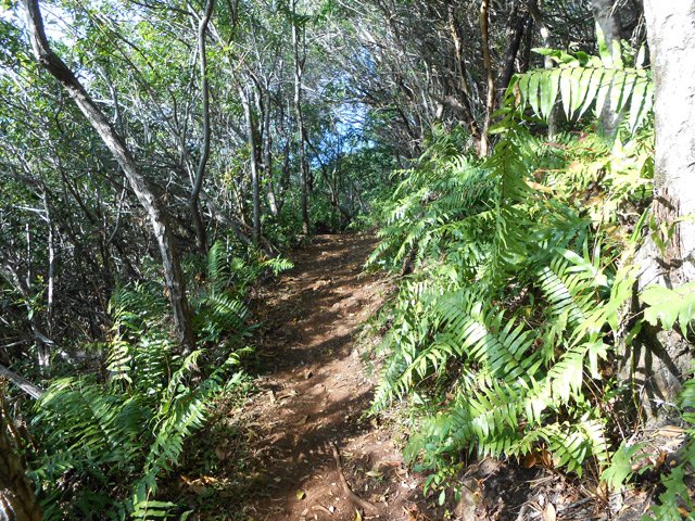 En fin de descente, le terrain s'aplanit