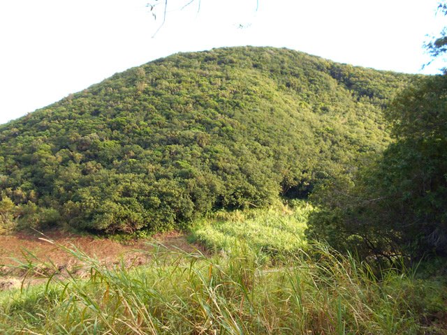 La partie la plus haute du Piton de Mont-Vert