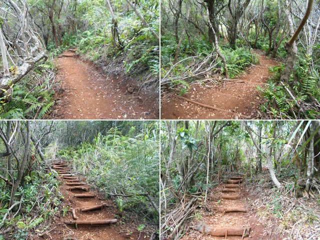 Quelques portions du nouveau sentier créé en 2017
