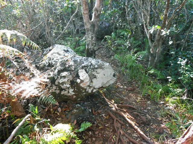D'autres roches le long du sentier vers le sommet