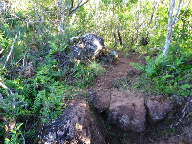 Hautes marches naturelles en plus de celles construites pour les montées et descentes