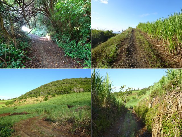 Les 500 premiers mètres de la traversée par les cannes