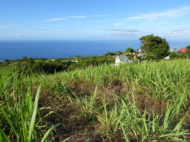 Nombreuses vues sur l'Océan