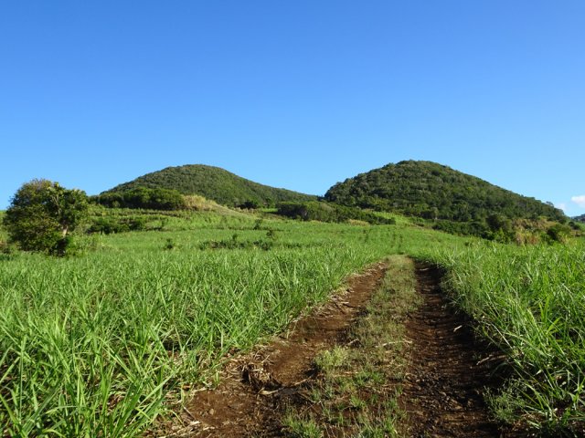 La dernière piste remontant vers l'Allée Piton Mont-Vert