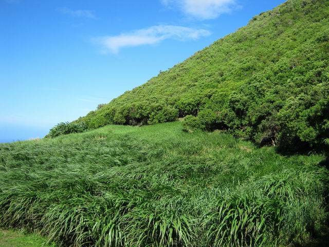 Le flanc ouest du Piton de Mont Vert