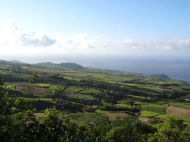 Le point de vue sur Petite Île et le Piton de Grande Anse