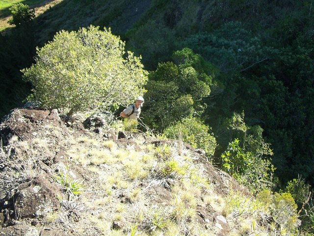 Un sentier est désormais nettoyé pour rejoindre le sommet