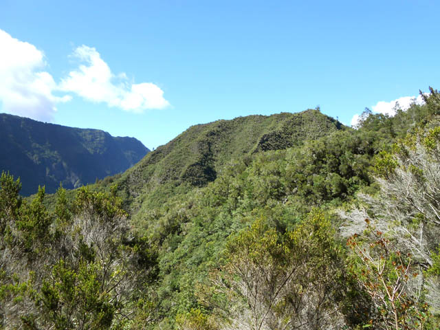 Le Grand Piton, face Nord, durant la descente du Sentier de Gueule Rouge