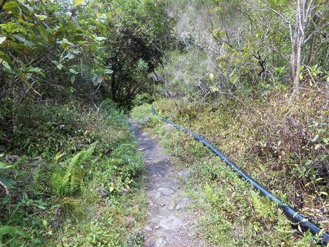 Le tuyau longe parfois le sentier