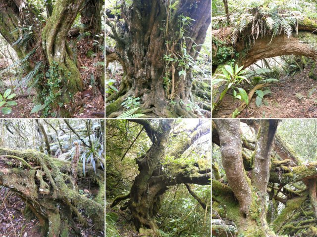 Et six autres, tous aussi gros les uns que les autres