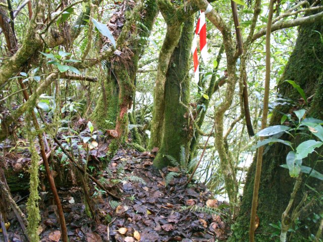 Attention aux enfants, le ravin est immédiat et dangereux
