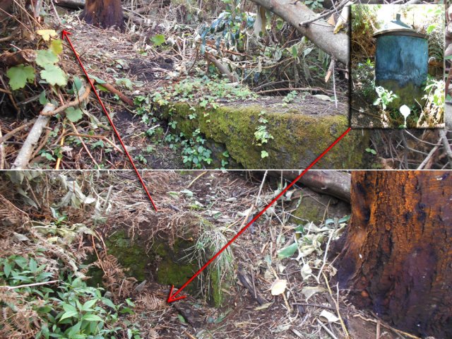 L'emplacement de l'alambic avant le passage dans les fougères : point de retour