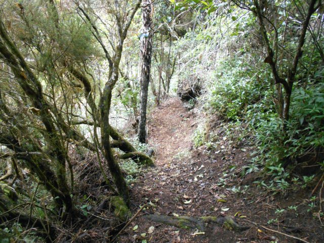 Agréable portion en rive droite. Cela ne sera pas toujours le cas