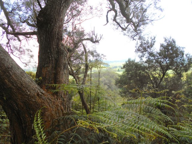 Paysages sur les prairies de la Petite Ferme depuis deux tamarins