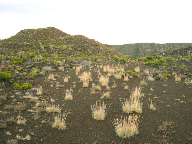 Agréable cheminement vers le Piton Cambar