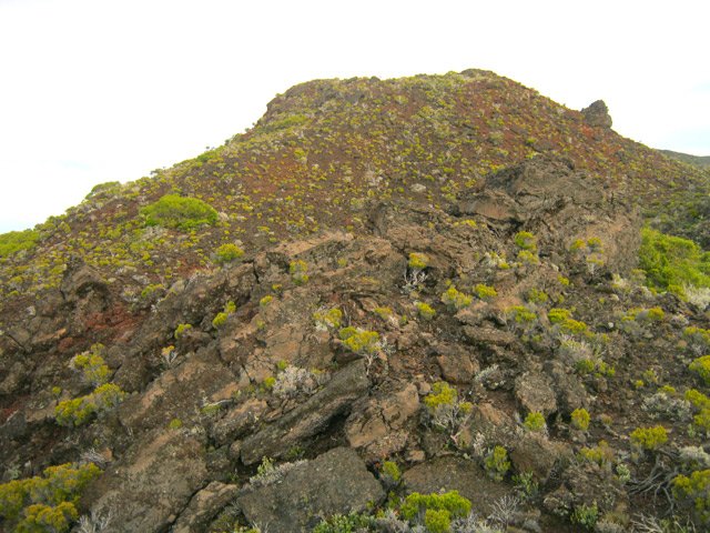 Descente des flancs du Piton Cambar