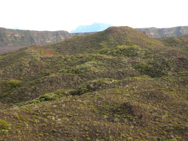 Le Piton Cambar depuis la montée vers le Piton Hubert