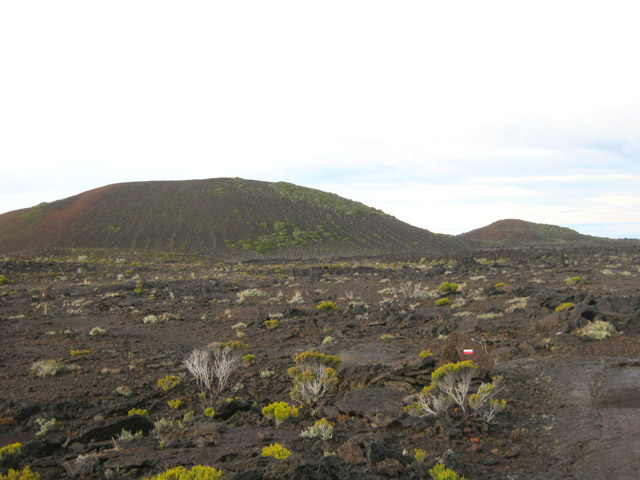 L'arrivée au Piton Rouge par le GRR2