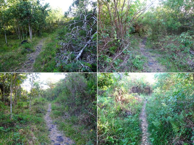Le sentier allant de l'océan au grillage de l'hôtel