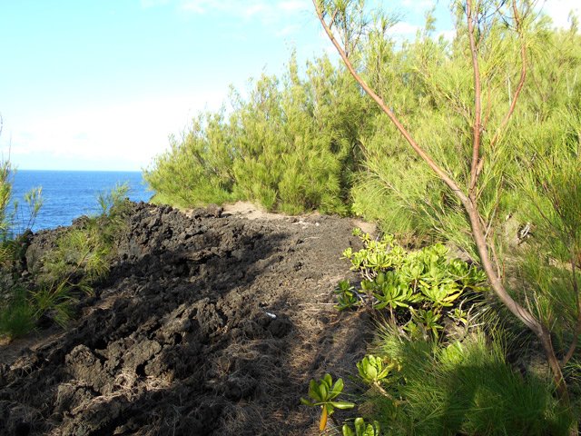 Passage en bordure de falaise pour se rendre en bord de mer