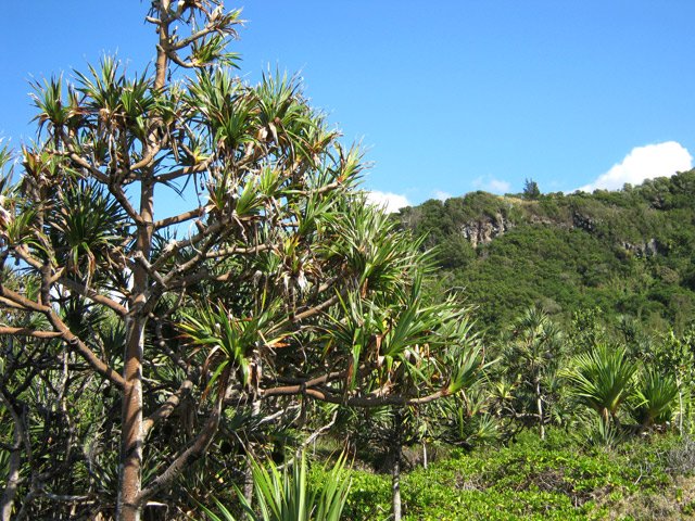 Les Rampes de Basse Vallée depuis le Cap Mascarin