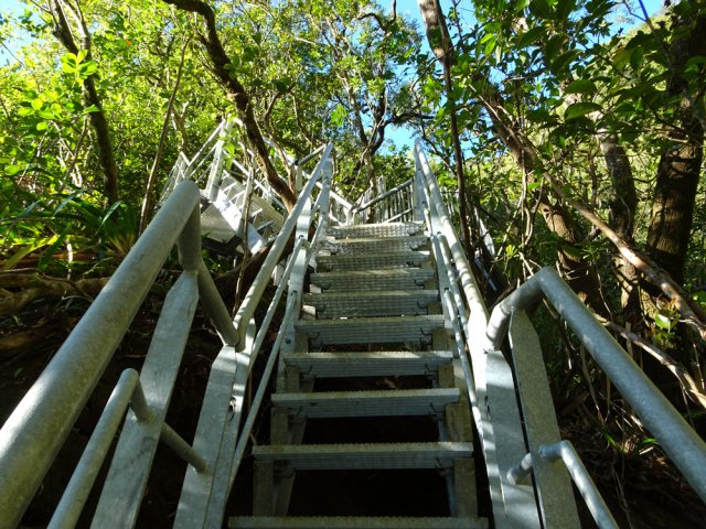 Dernier coup de rein pour atteindre le belvédère aménagé