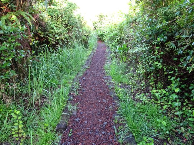 Sentier plat et très facile au départ