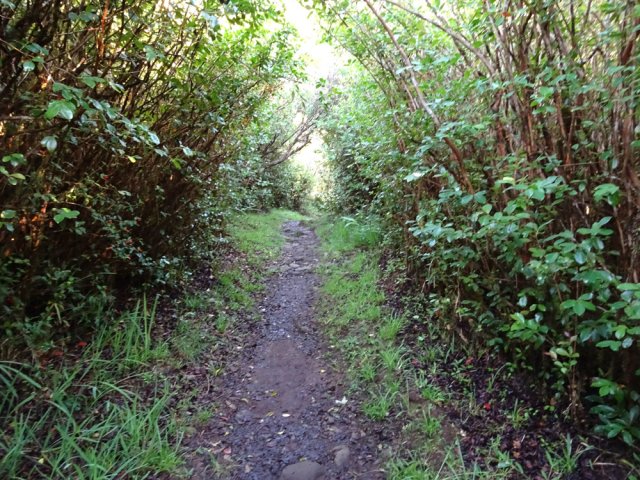 Cailloux et boue remplacent le sol artificiel du début