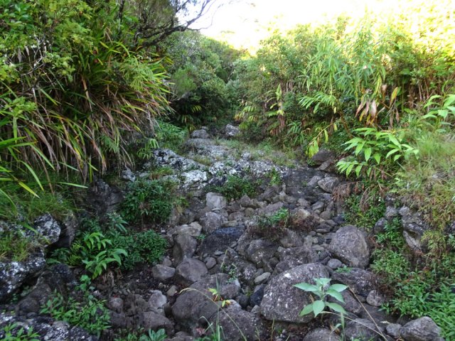 Traversée facile d'un lit du Petit Bras Patience