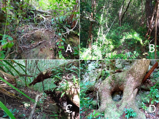 Quelques parties de la descente