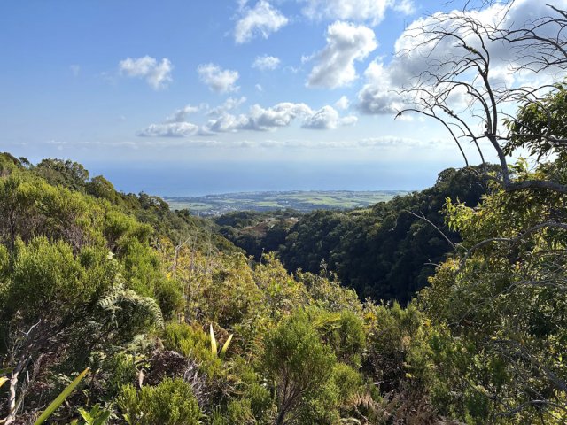 Panorama sur Ste-Marie et la côte
