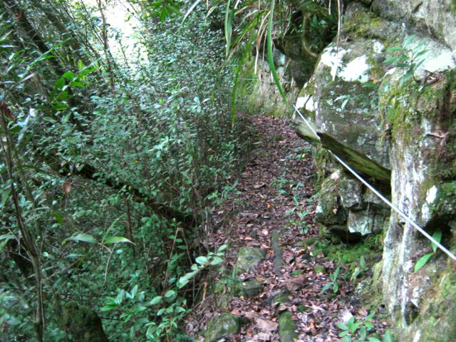 Les parties plus dangereuses sont équipées de sécurités