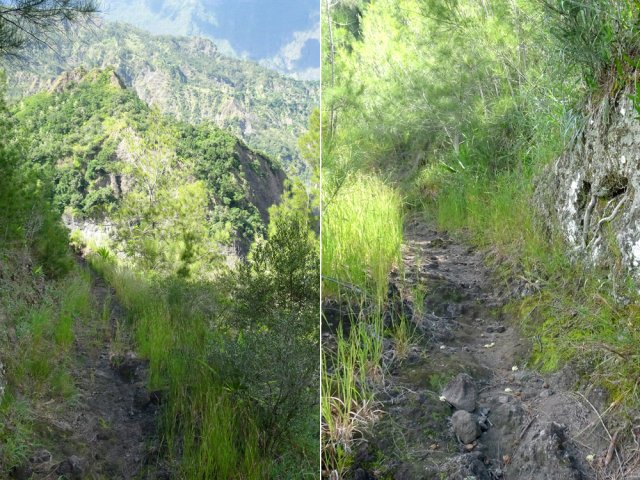 Même abandonné, le sentier est toujours de bonne qualité