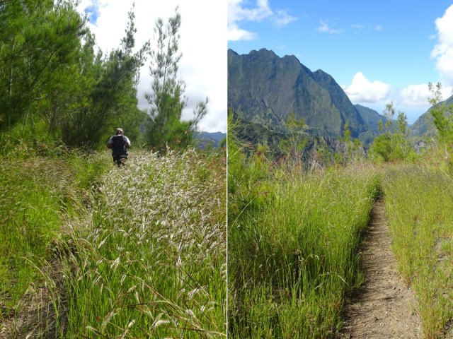 Sentier agréable avant de parvenir aux champs de l'Îlet à Cordes