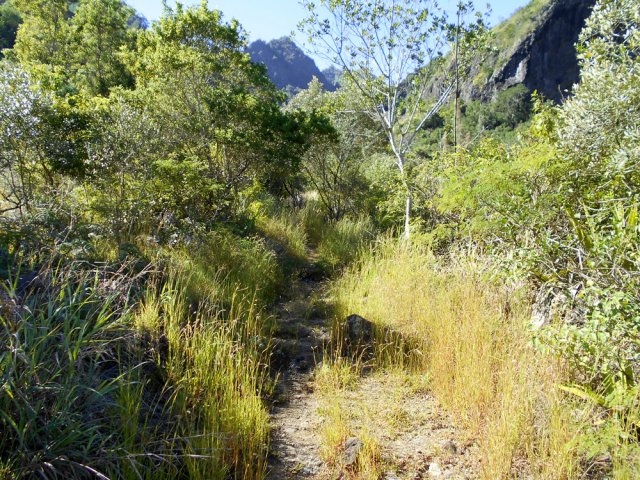 Une partie du sentier dans une végétation assez pauvre