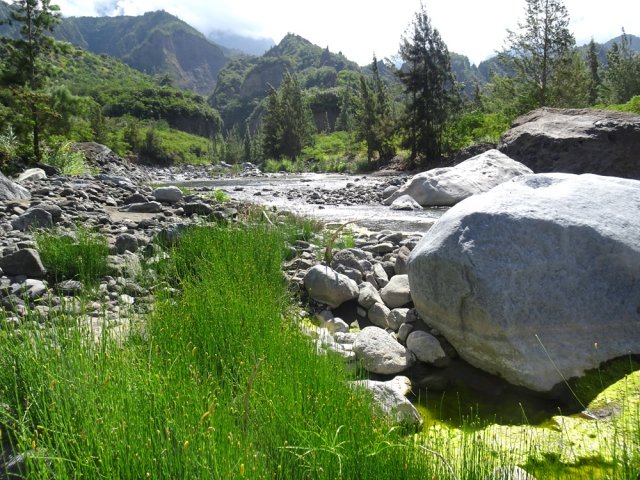 Arrivée à Trois Bras dans 100 m